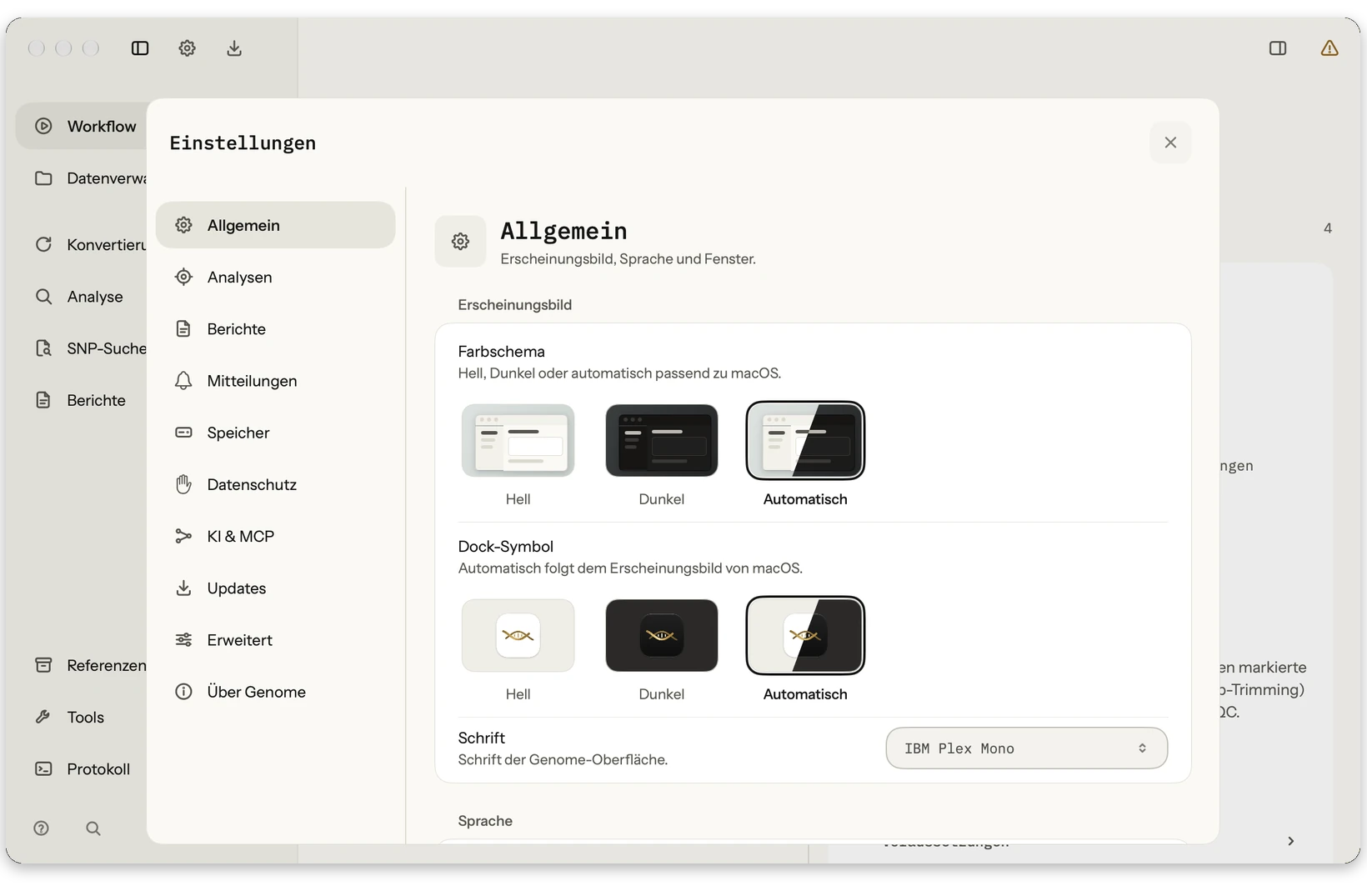 Einstellungen: App-Sprache, Berichtssprache, Design, Exportverhalten und Entwickleroptionen ruhig gebündelt.